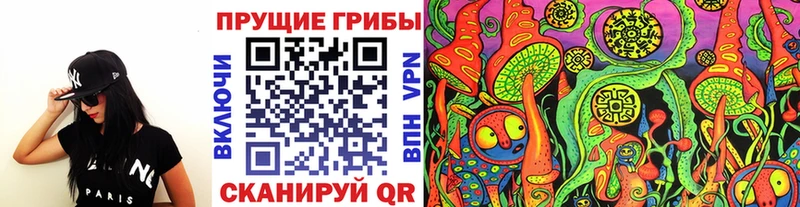 купить   Новосокольники  Галлюциногенные грибы мицелий 